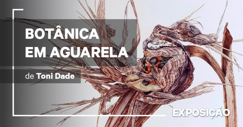 banner_site_eba_destaque