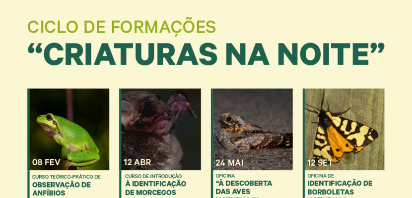 Cartaz