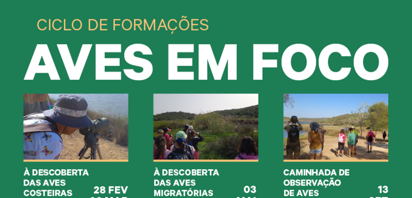 _dac_site_destaque_800x430px