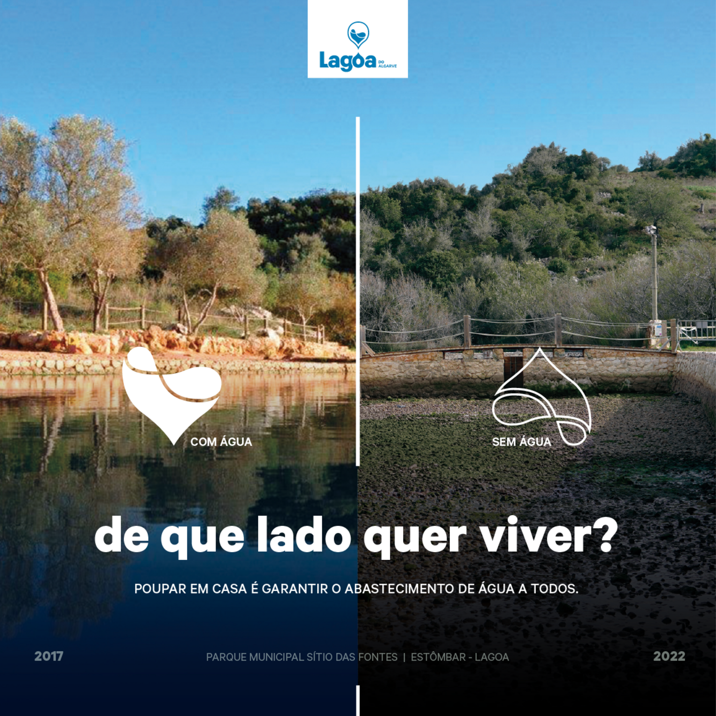 banner_post_dqlqv_1200x1200px_1