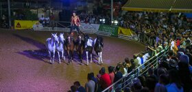 img_1176
