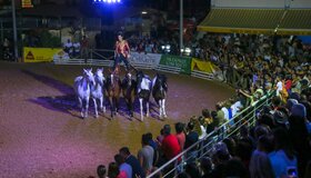 img_1176