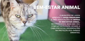 banner_ni20230912_site_noticia
