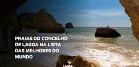20240408_noticia