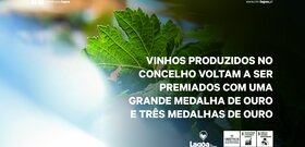 20240517_noticia