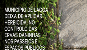 ervas_cartaz