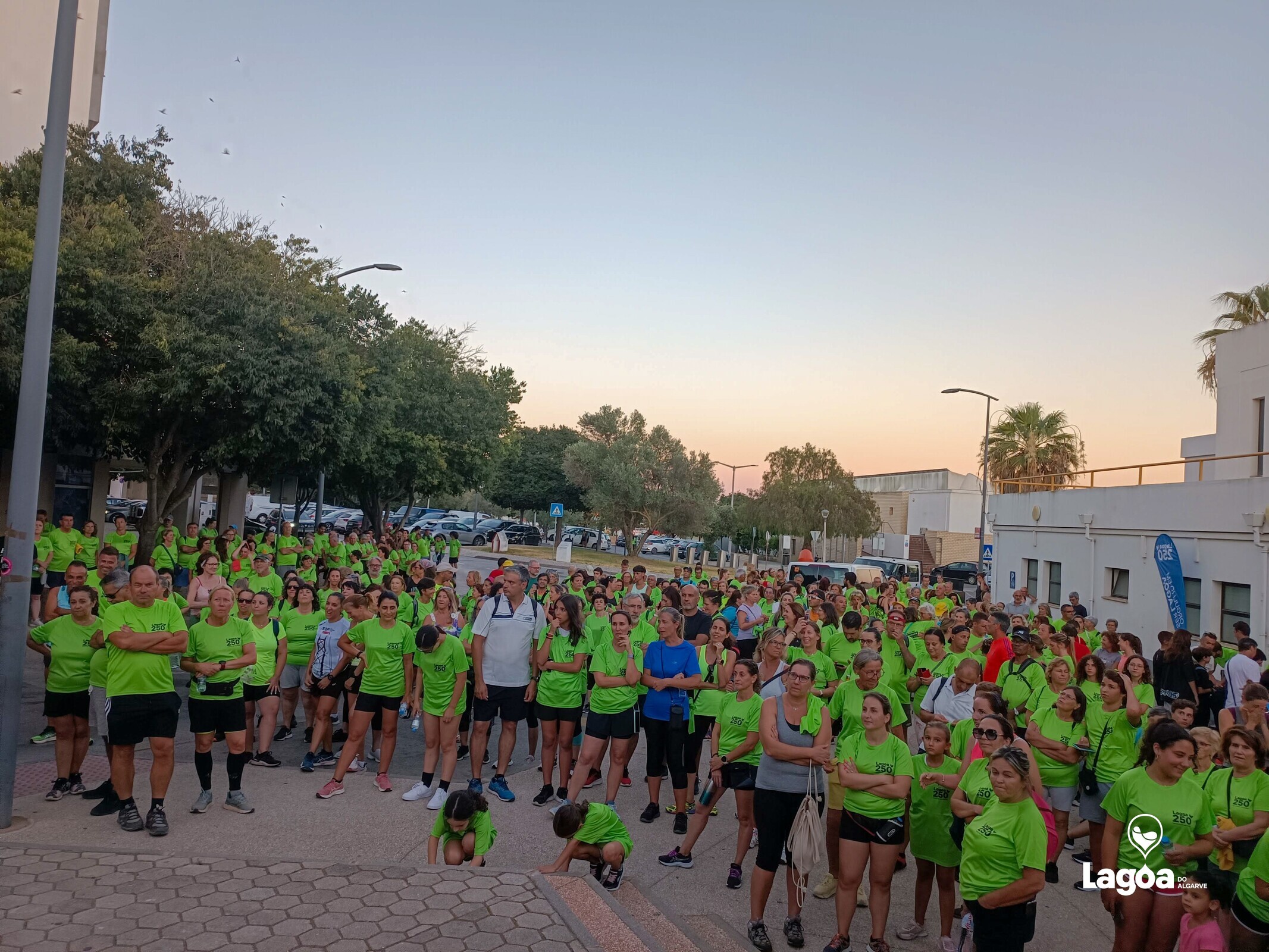 Caminhadas ao Luar 02