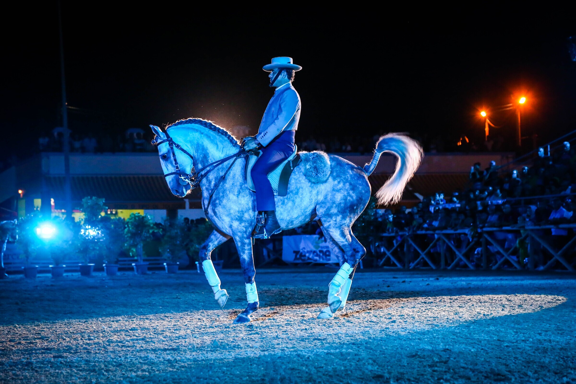 Equestre 01