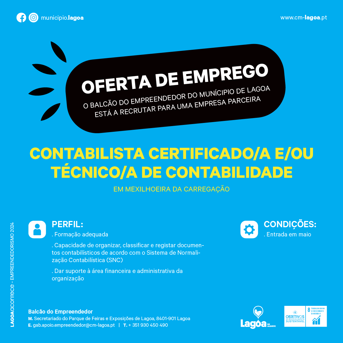 Contabilista