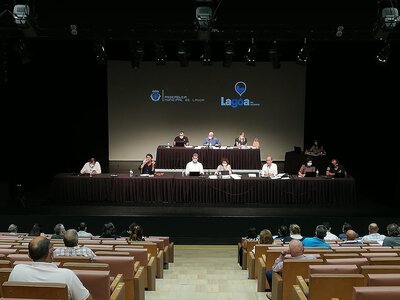assembleia