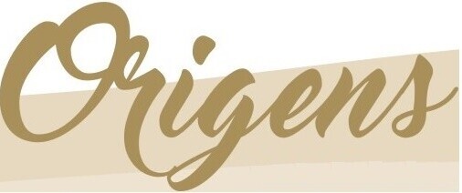 logtipo_logo_origens
