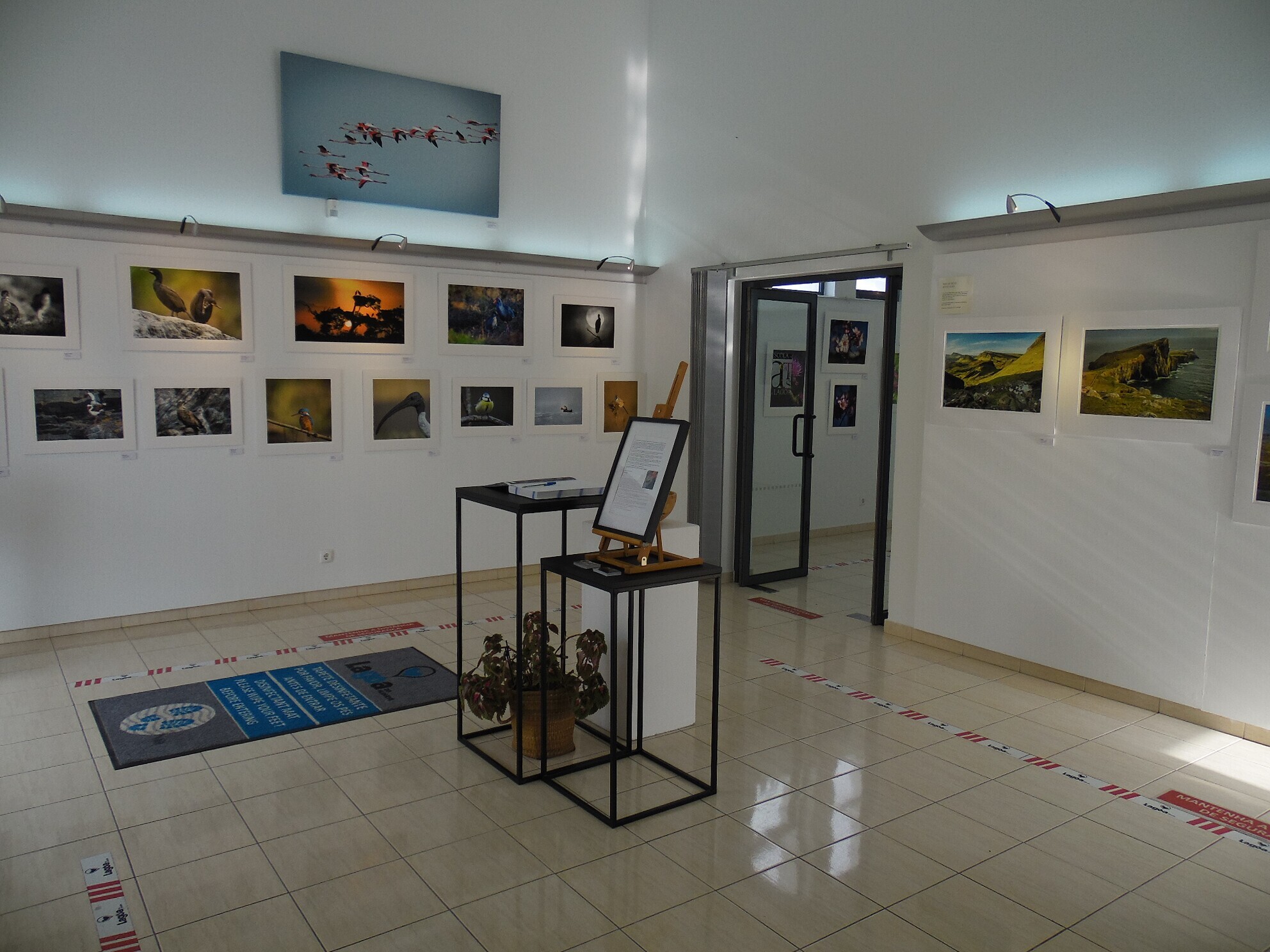 Galeria Manuela Vale