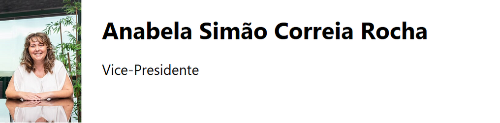 Vice Presidente